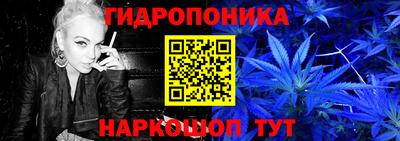 индика Балахна