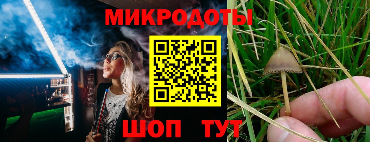 Псилоцибиновые грибы Magic Shrooms Вичуга