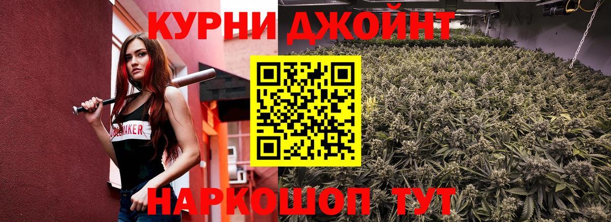 Марихуана план  Бошки марихуана сатива  Вичуга  Вход с VPN  Бошки марихуана OG Kush 